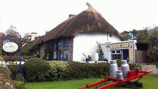 Berkeley Lodge Limerick Junction Εξωτερικό φωτογραφία