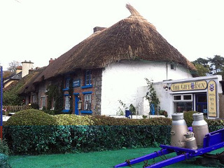 Berkeley Lodge Limerick Junction Εξωτερικό φωτογραφία